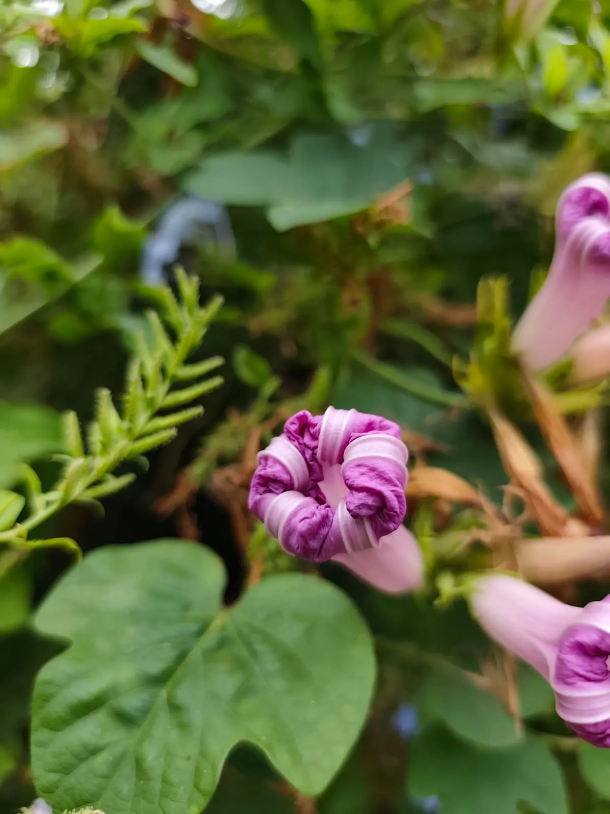 IMG_20250714_162204_e9pkqx