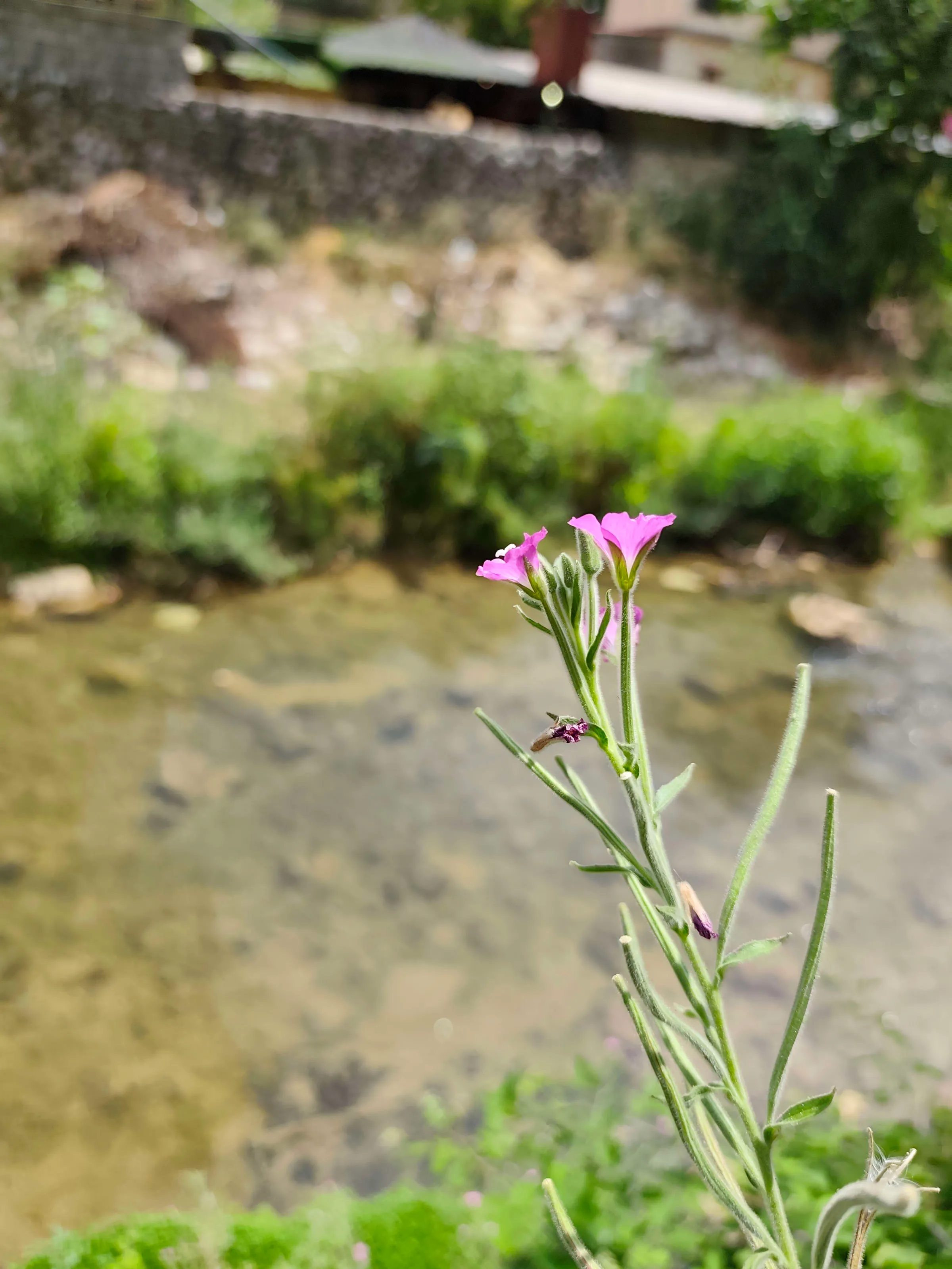 IMG_20250715_142609_yykx9o