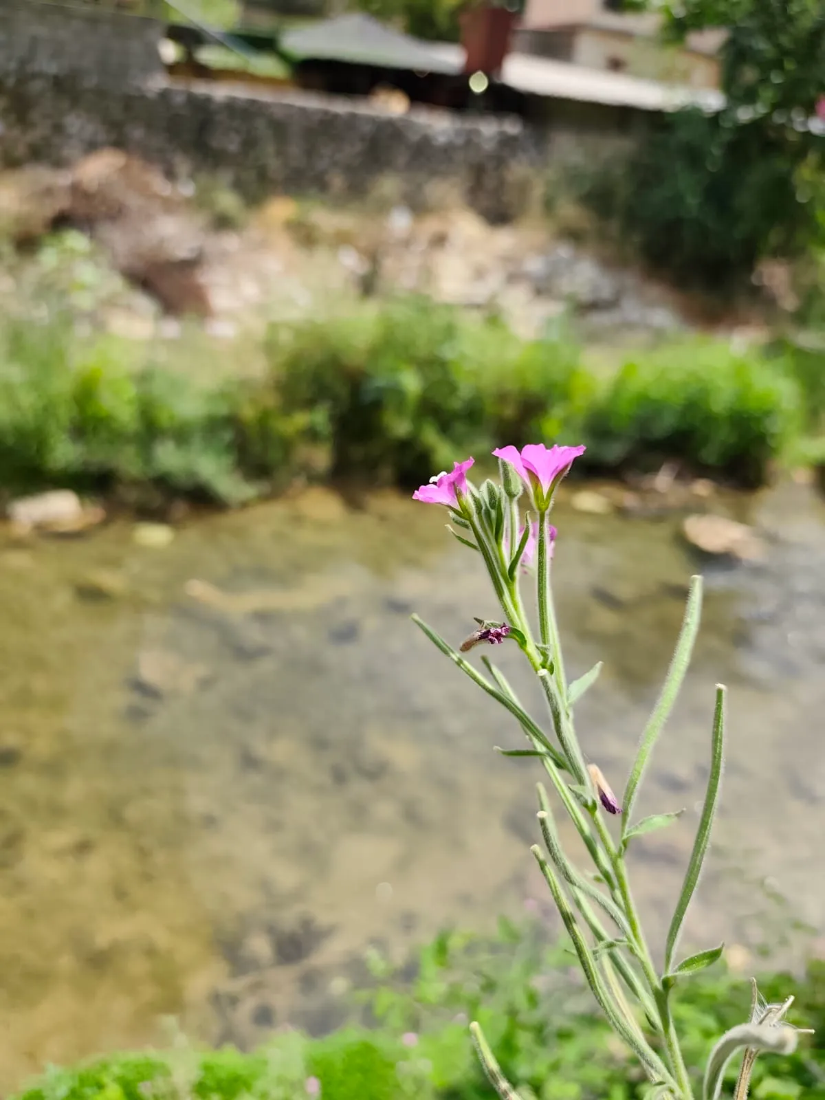 IMG_20250715_142609_yykx9o