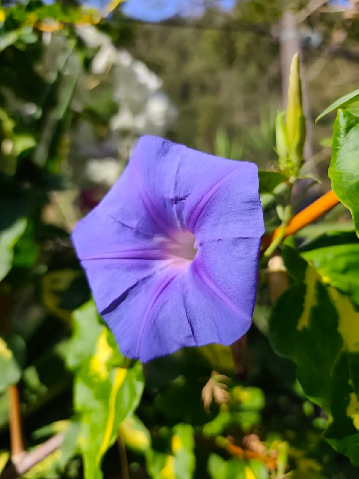 IMG_20250718_081839_c3mgu4