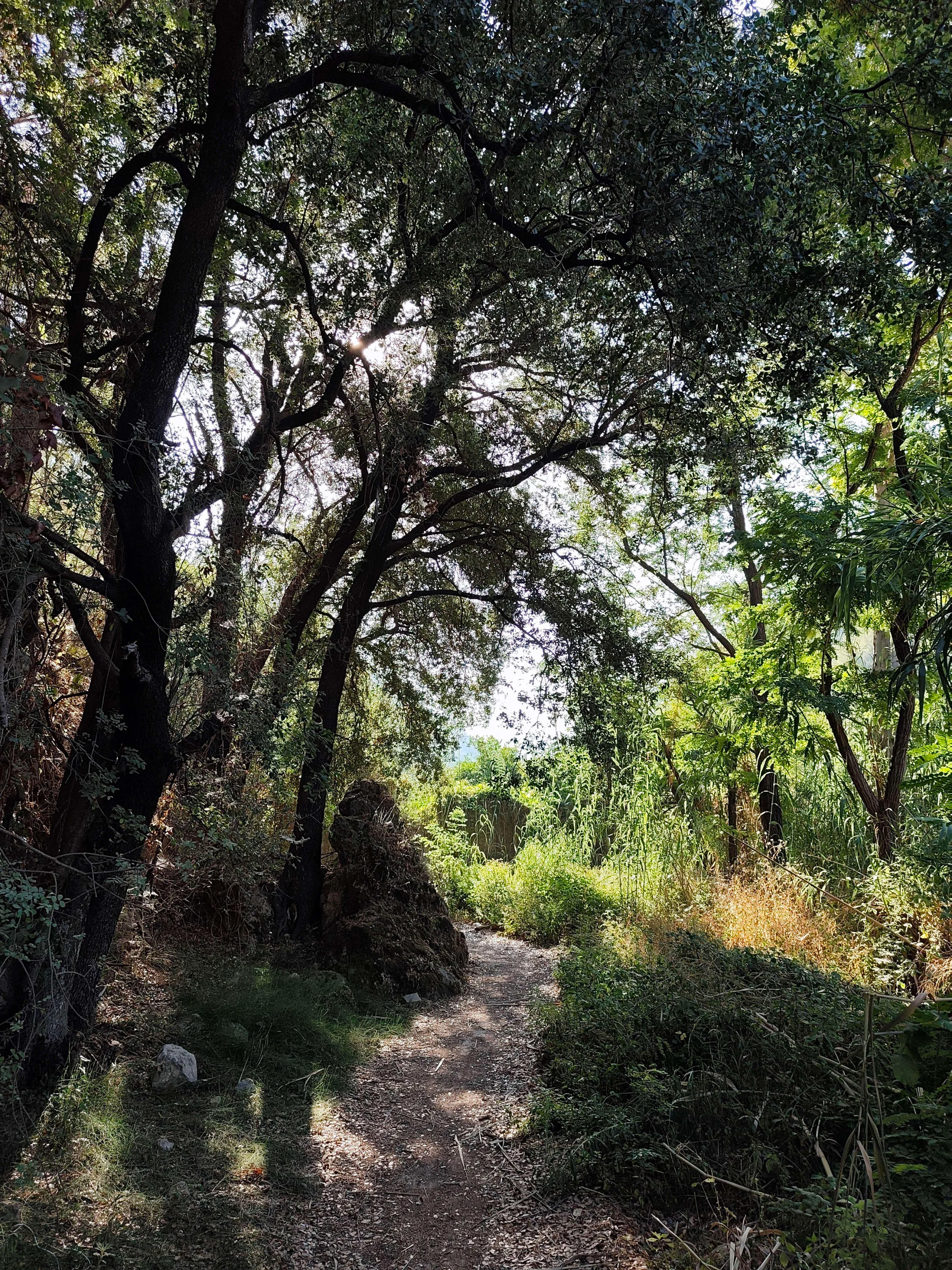 IMG_20250718_082458_uxkvap