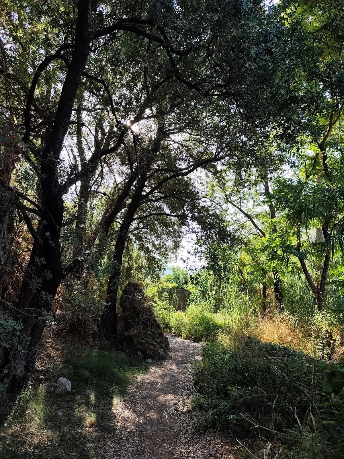 IMG_20250718_082458_uxkvap