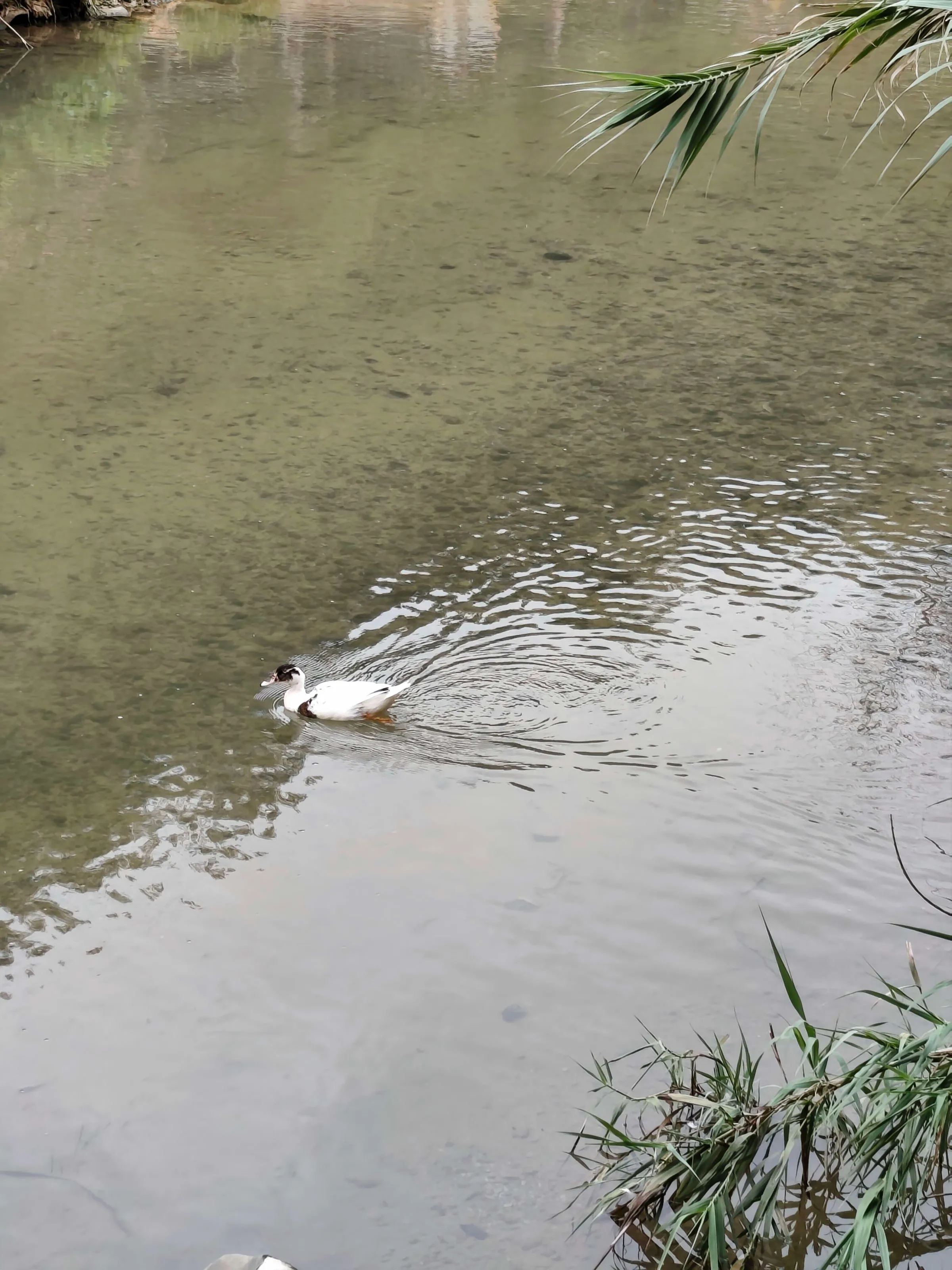 IMG_20250722_161319_e7bz6n