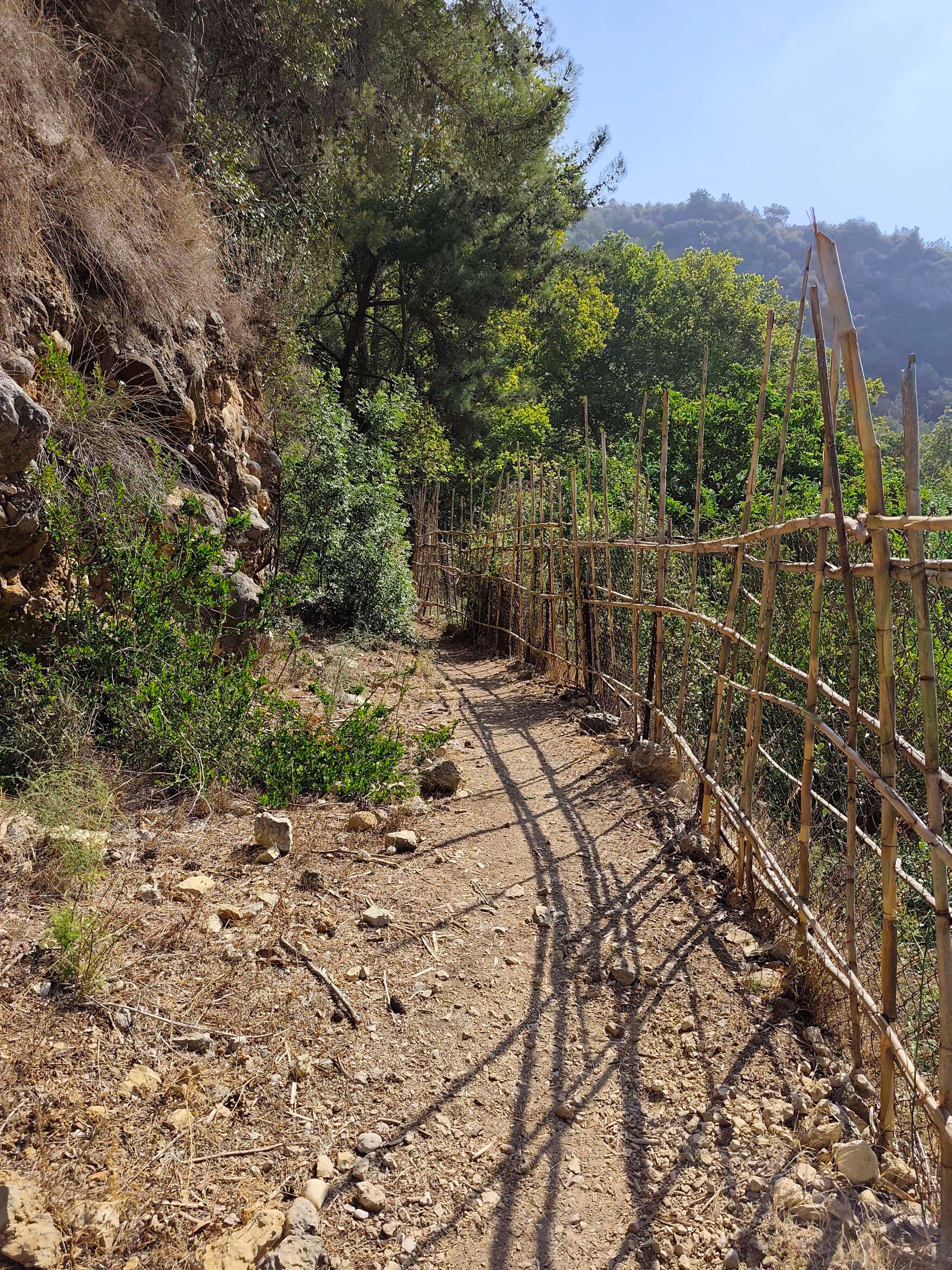 IMG_20250725_092711_ifr56v