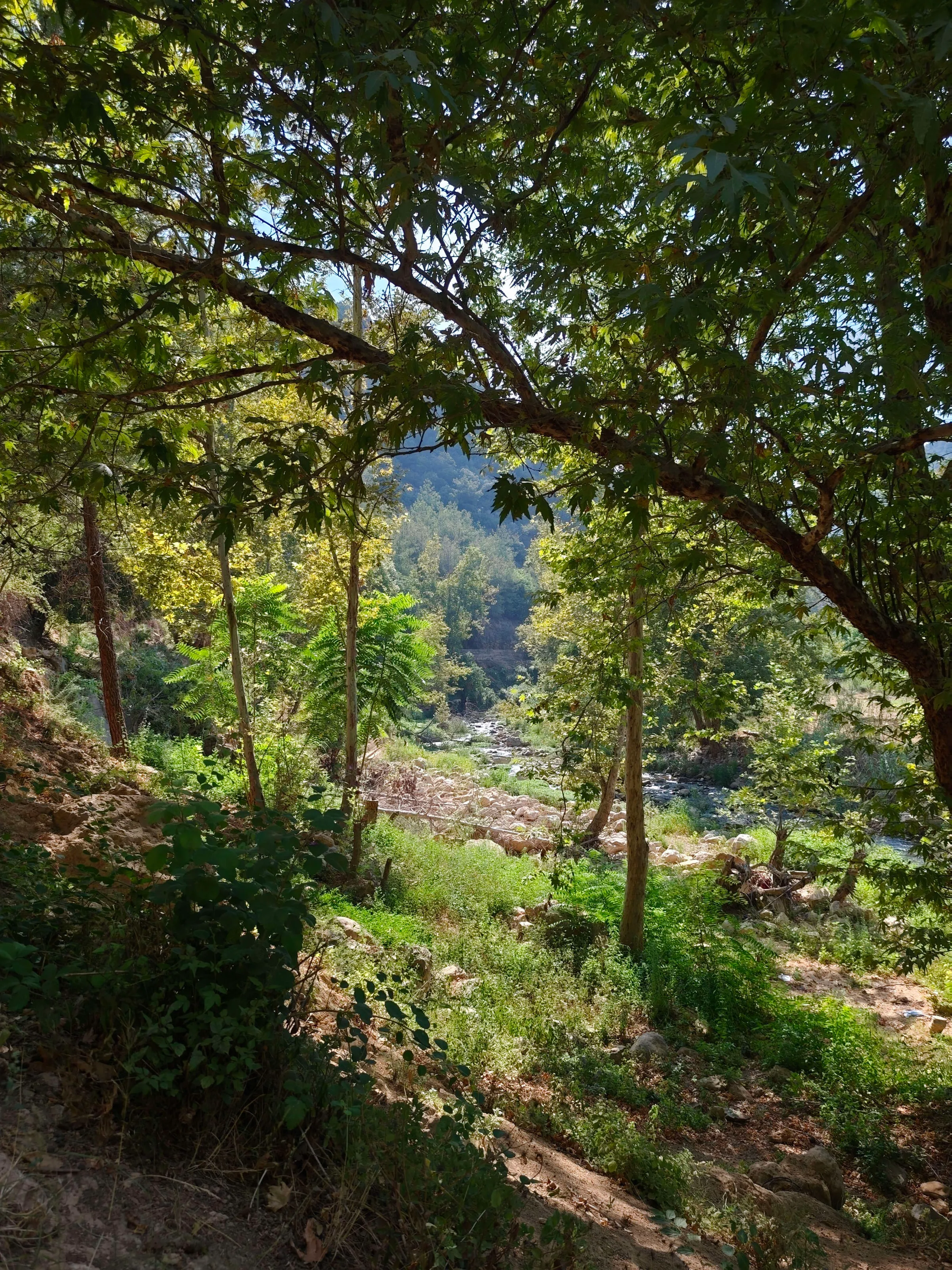 IMG_20250725_092852_lbjkdv