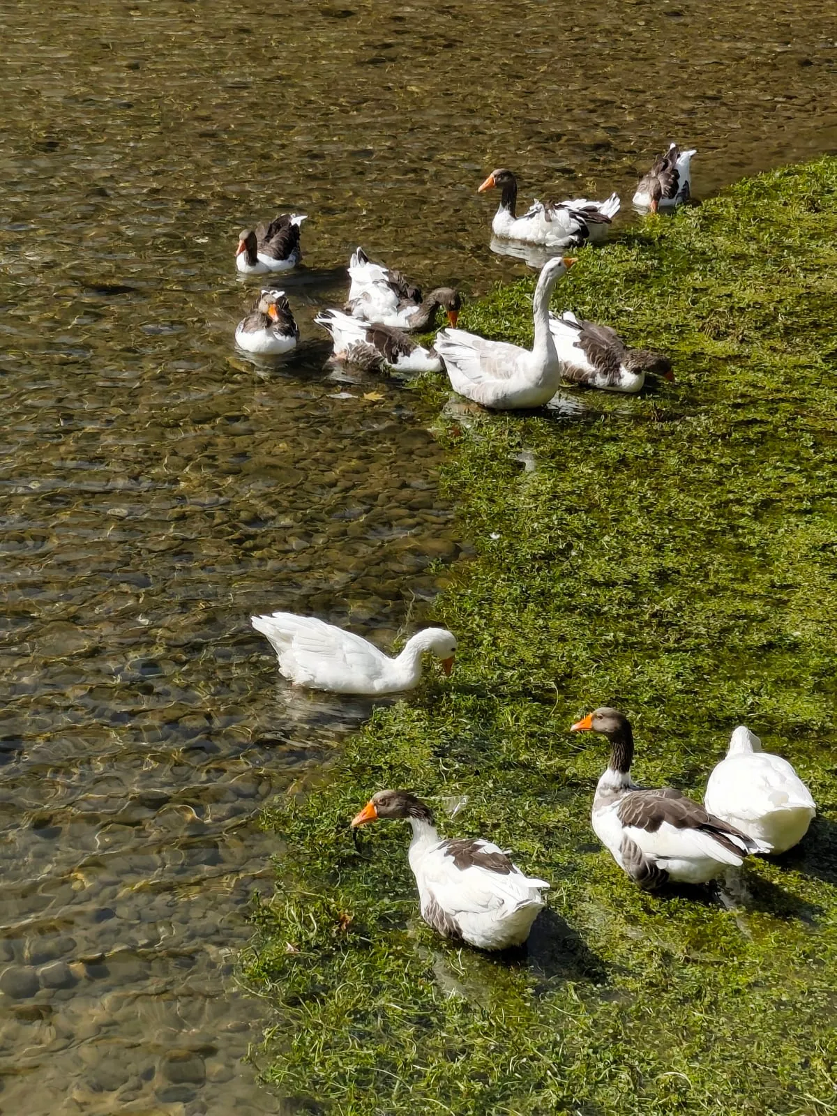 IMG_20250725_093515_u2llh3