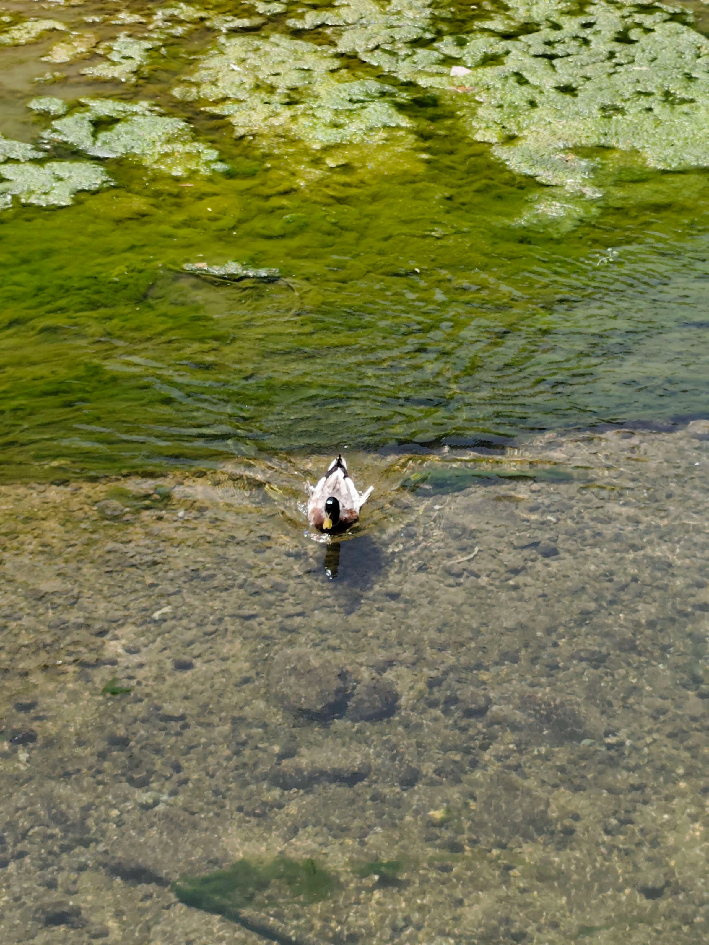 MVIMG_20250516_111522_d7pwwe